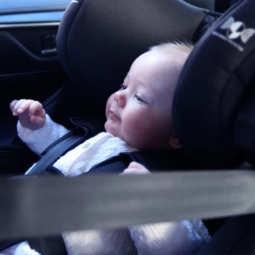 InfaSecure Momentum More - ISOFix (Birth to 4 Years)