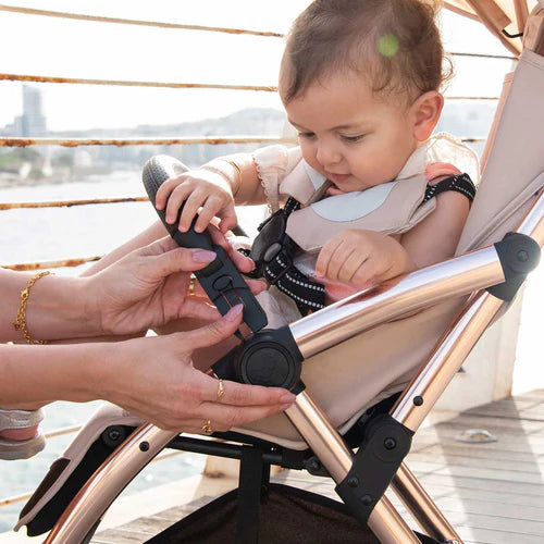 Leclercbaby Influencer Stroller