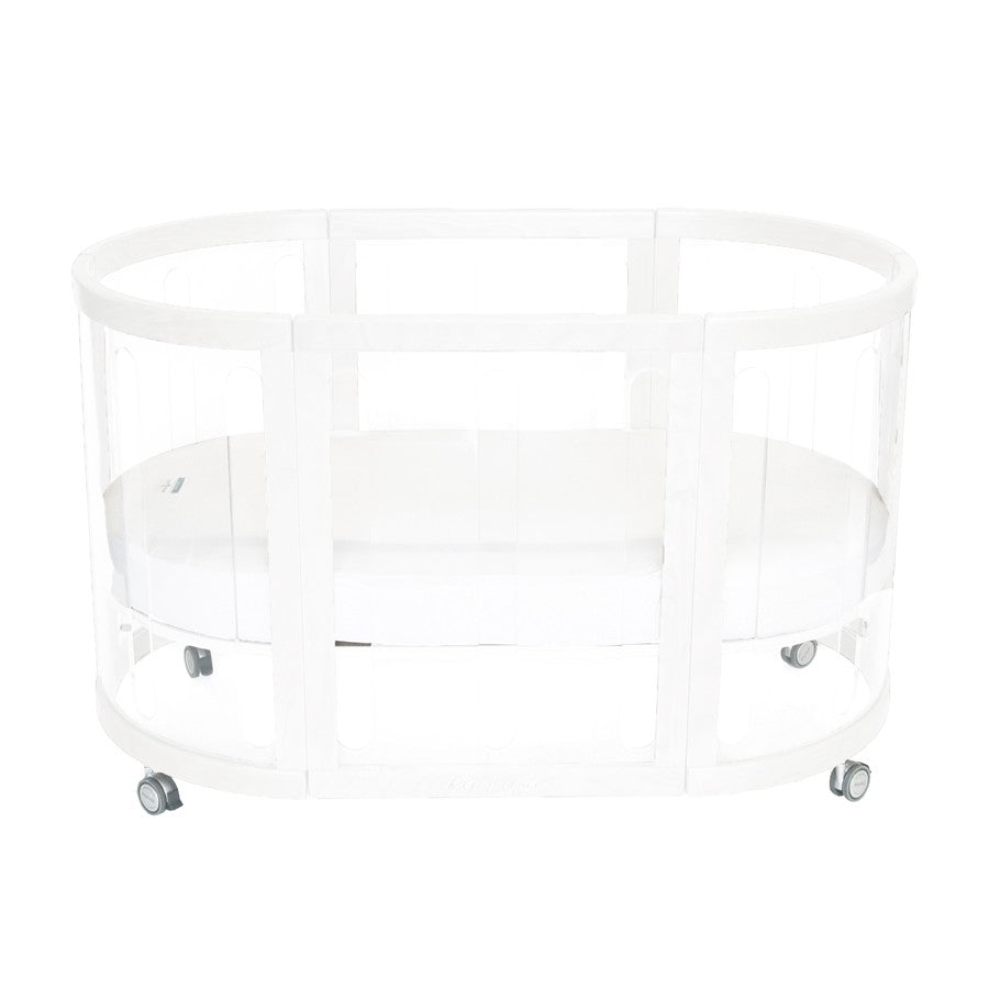 Kaylula Sova Cot Clear - Beech