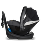InfaSecure Cocoon Go (Birth to 6 Months)