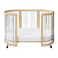 Kaylula Sova Cot Clear - Beech