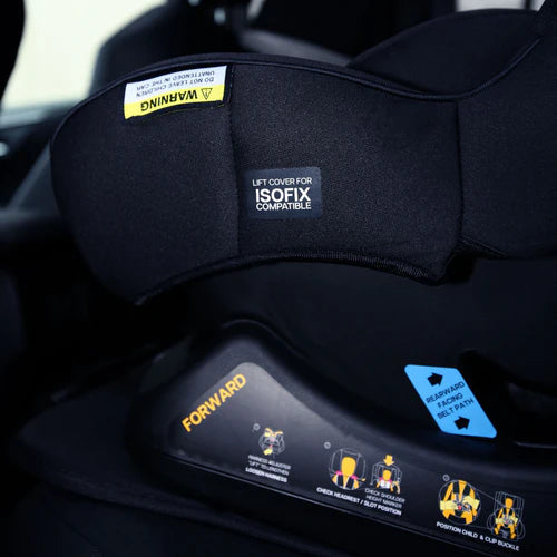 InfaSecure Momentum More - ISOFix (Birth to 4 Years)