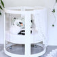 Kaylula Sova Cot Clear - Beech